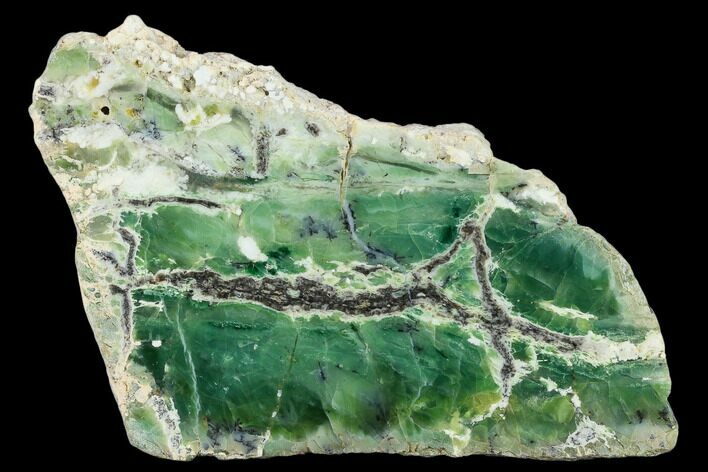 Polished Green-White Opal Slab - Western Australia #132925